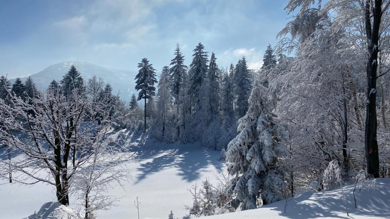 Domek Goscinny Dyziowka Szczyrk Extérieur photo